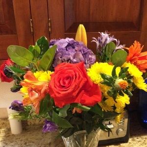 Meet your Posher, Jane